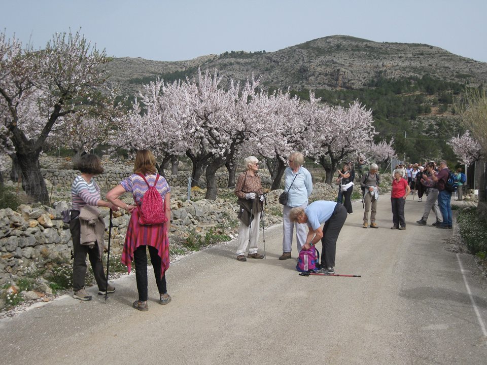 Spring/Almond Blossom Walking Festival 2024 COSTA BLANCA MOUNTAIN WALKERS